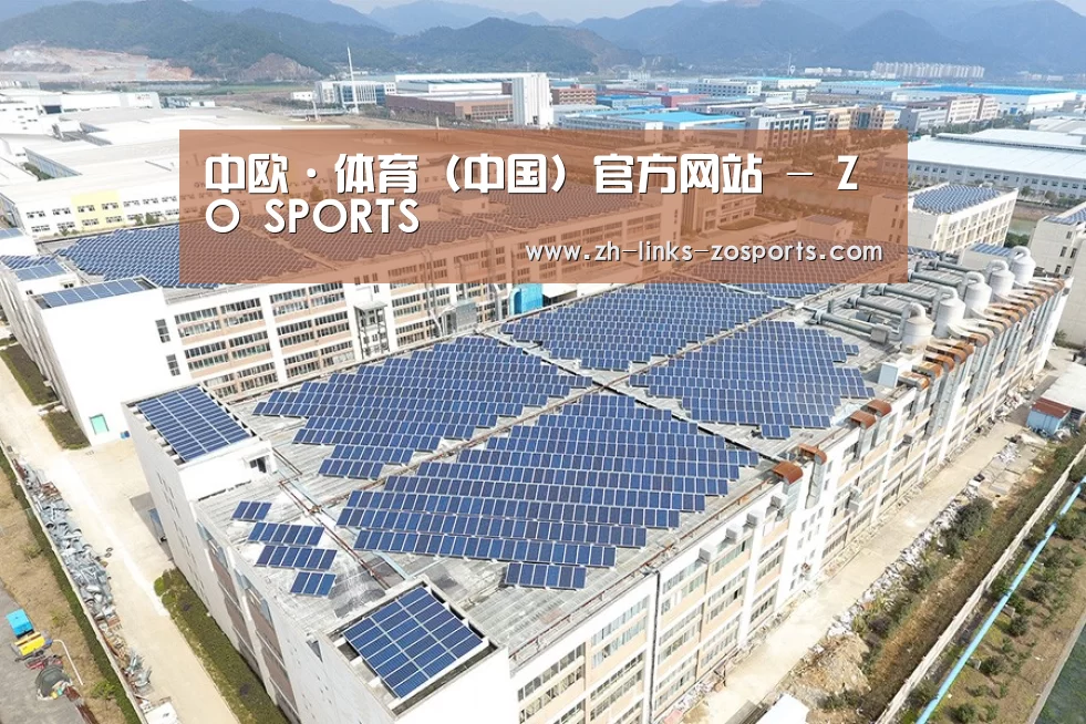 案例展示三