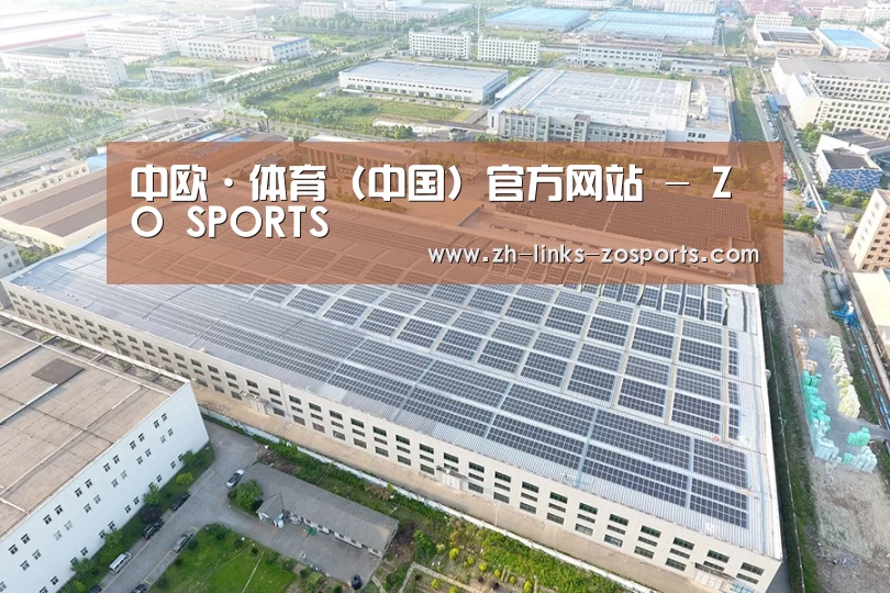 案例展示三
