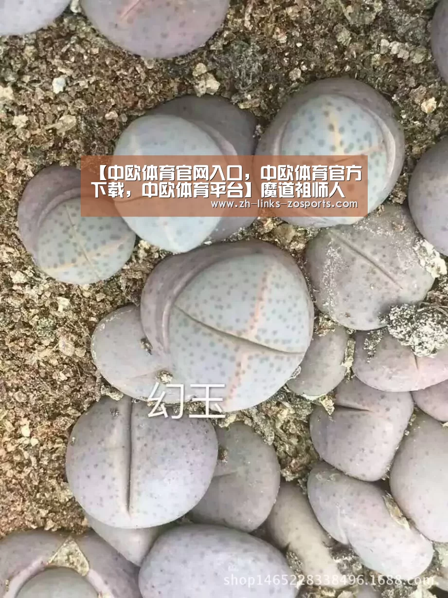 【中欧体育官网入口,中欧体育官方下载,中