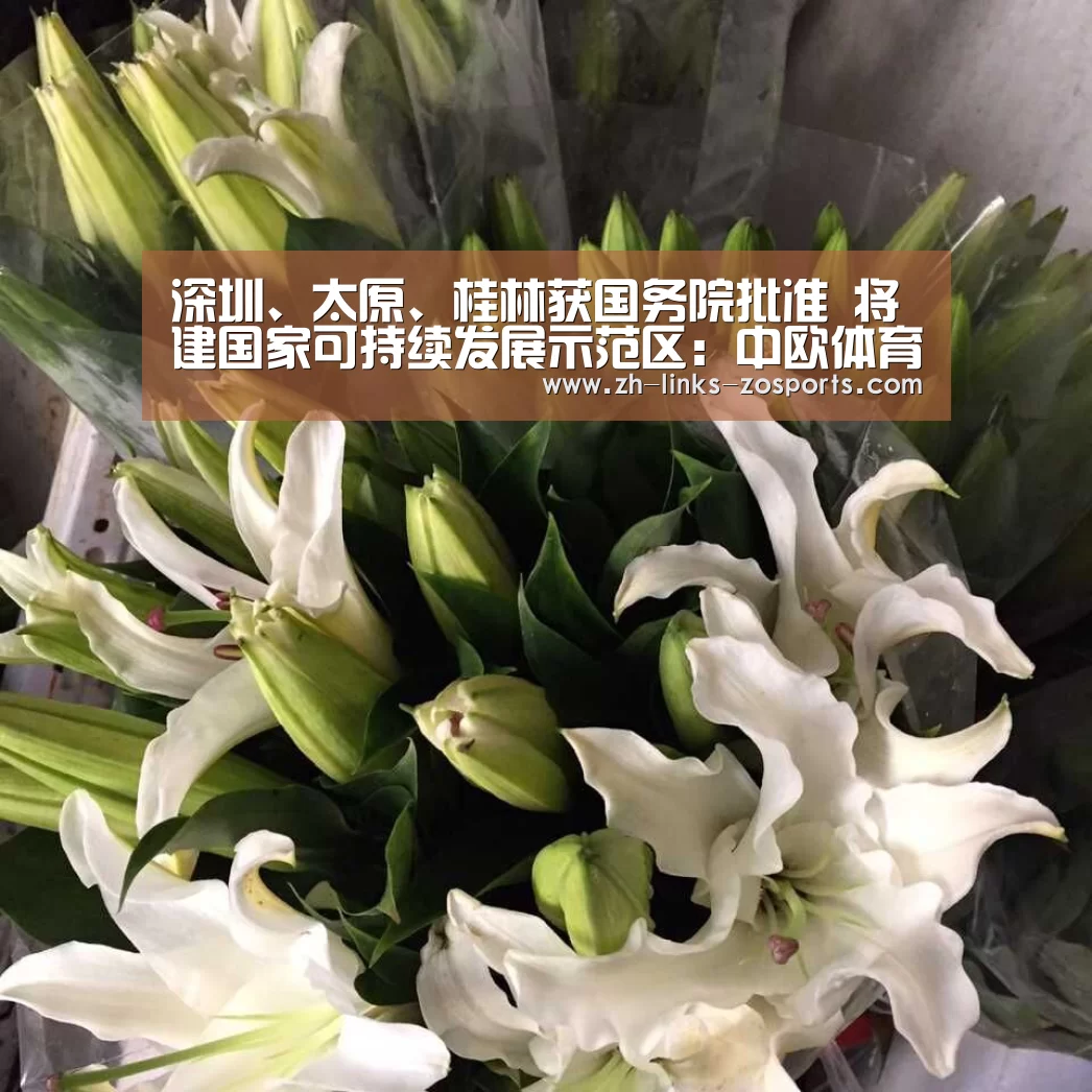 中欧体育官网入口，中欧体育官方下载，中欧体育平台