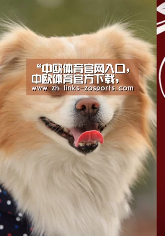 中欧体育官网入口，中欧体育官方下载，中欧体育平台