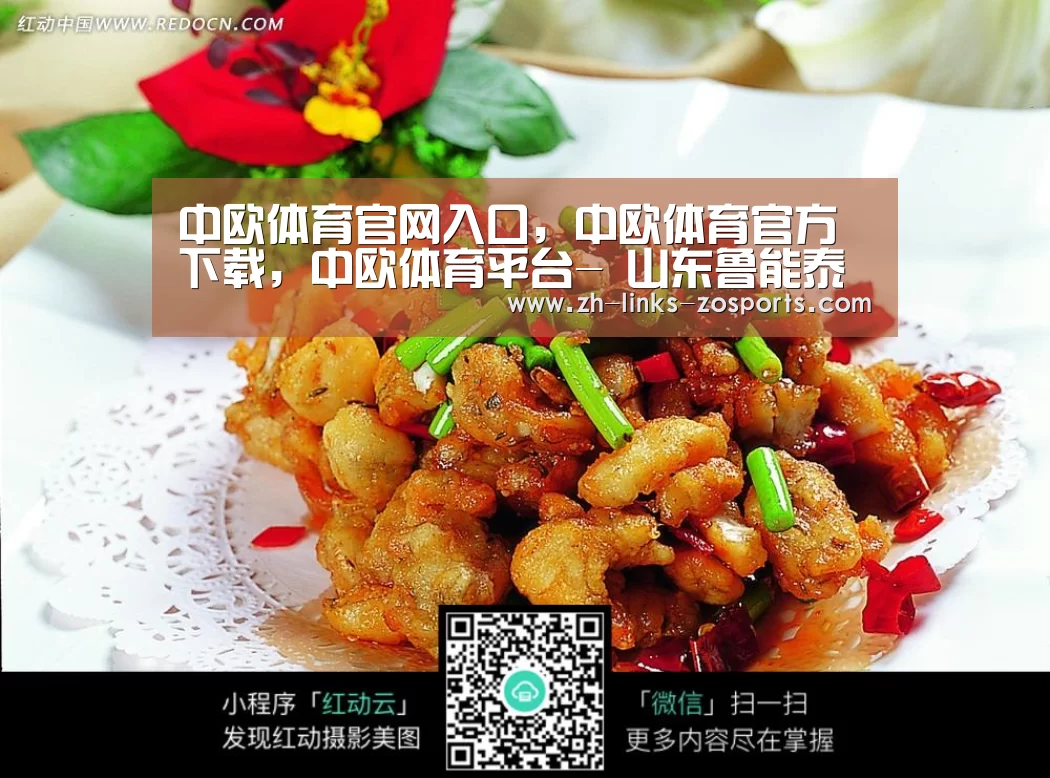中欧体育官网入口，中欧体育官方下载，中欧体育平台