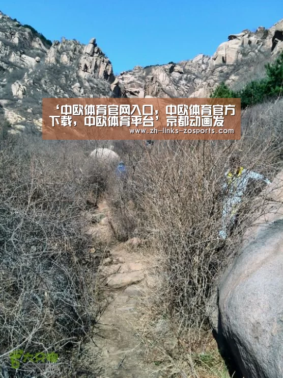 中欧体育官网入口，中欧体育官方下载，中欧体育平台