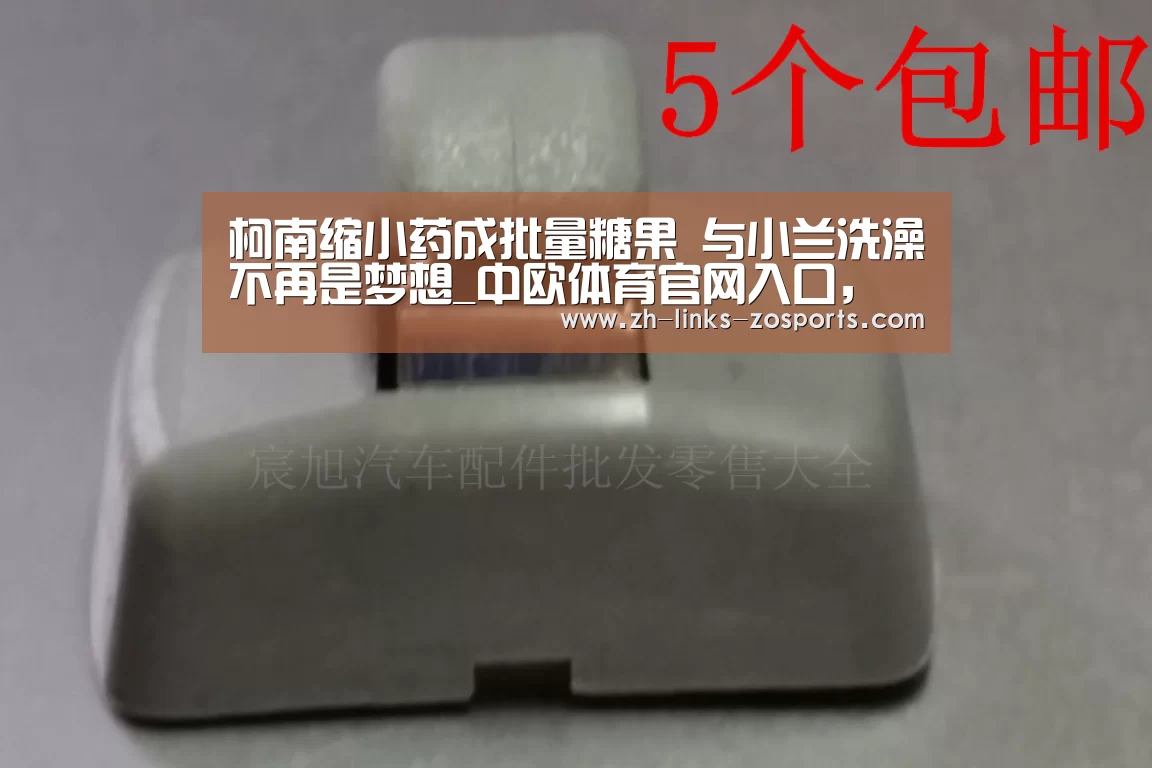 中欧体育官网入口，中欧体育官方下载，中欧体育平台
