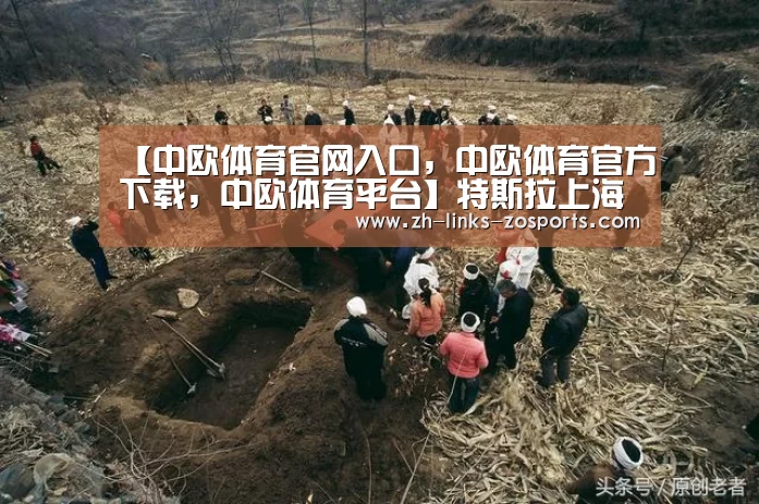 【中欧体育官网入口,中欧体育官方下载,中欧体育平台】特斯拉上海正式拿地 房企多元化造车仍遥遥无期(图3) 中欧体育官网入口,中欧体育官方下载,中欧体育平台