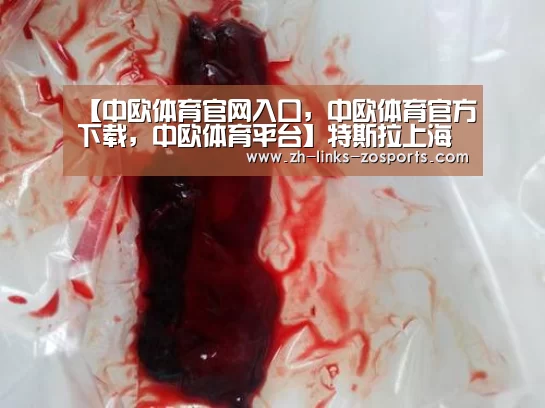 【中欧体育官网入口,中欧体育官方下载,中欧体育平台】特斯拉上海正式拿地 房企多元化造车仍遥遥无期(图2) 中欧体育官网入口,中欧体育官方下载,中欧体育平台