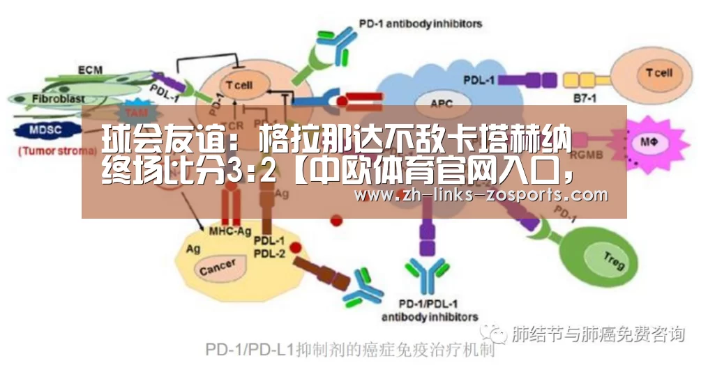 球会友谊: 格拉那达不敌卡塔赫纳 终场比分3:2【中欧体育官网入口,中欧体育官方下载,中欧体育平台】(图1) 中欧体育官网入口,中欧体育官方下载,中欧体育平台